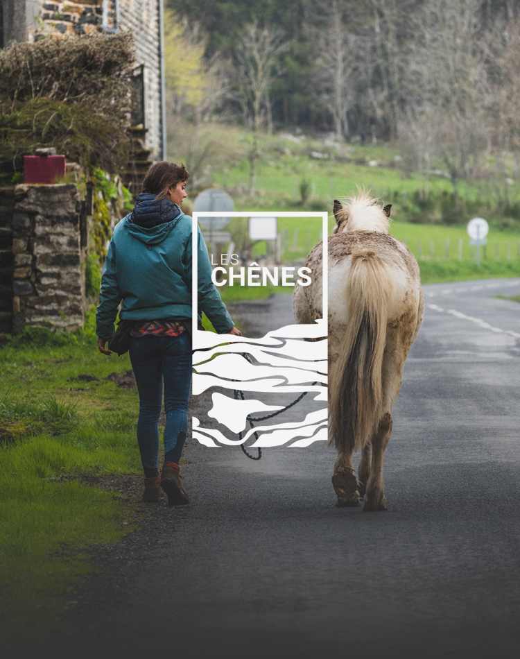 Femme qui marche à côté d'un cheval